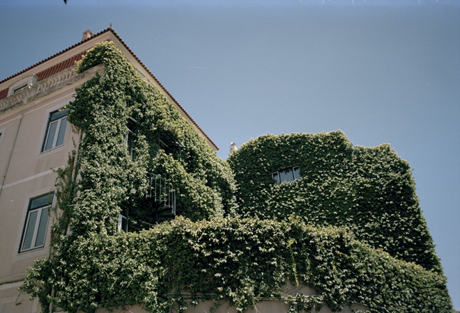 House covered in Ivy in Lisbon, captured in Film
